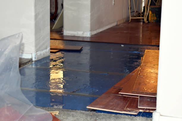 Professional Basement Flood Cleanup technician working in Sanborn, IA